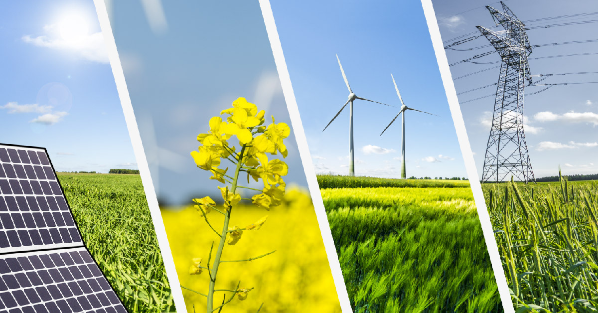 What Are the Different Types of Renewable Energy Farms?